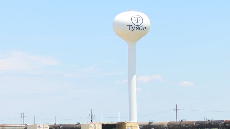 Tyson afirma que la escasez de ganado es una de las principales razones del cambio.