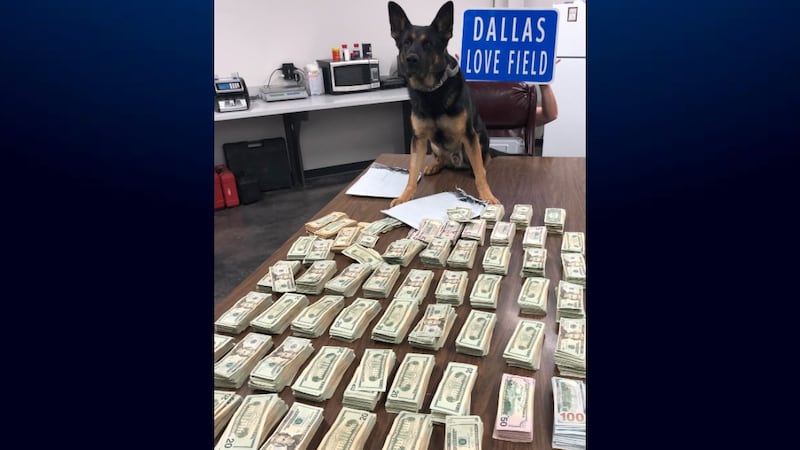 El K-9 Ballentine olfateó más de $ 100K dentro de la bolsa de lona de un pasajero.