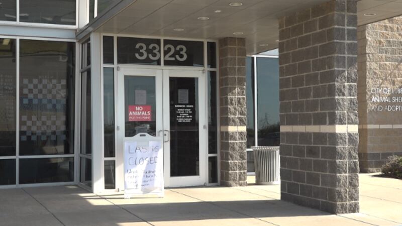 El refugio de animales de Lubbock cierra debido al brote