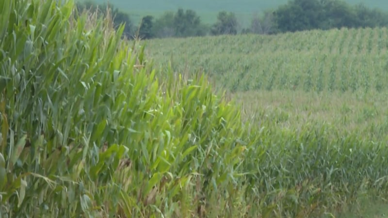 Desde el envejecimiento de la población de nuestros agricultores y ganaderos hasta el aumento...