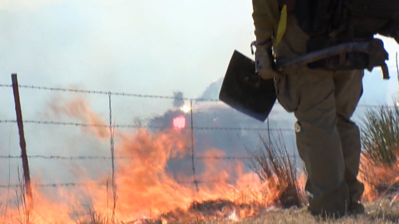 El programa se financia mediante donaciones privadas y es administrado por el Departamento de...