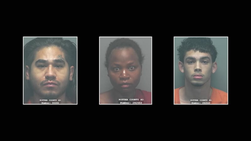 Los documentos judiciales muestran que los testigos dijeron a la policía que Paluku fue...