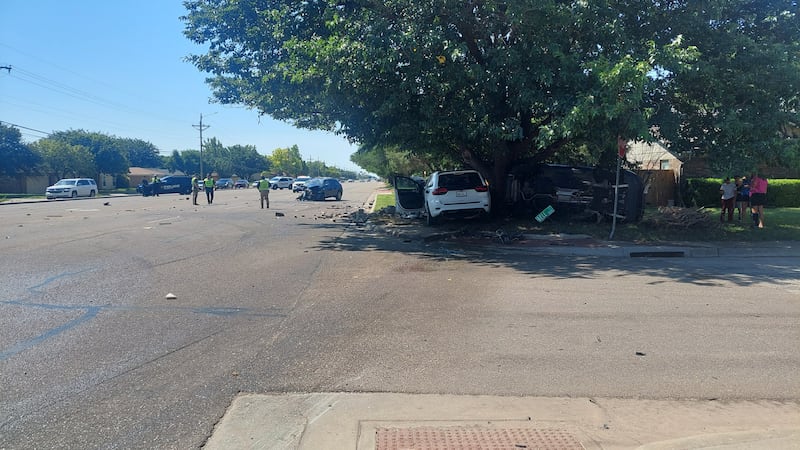(Source: KFDA)