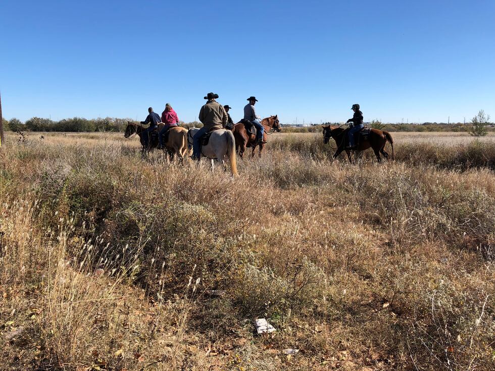 This search is part of the Zoe Campos case.