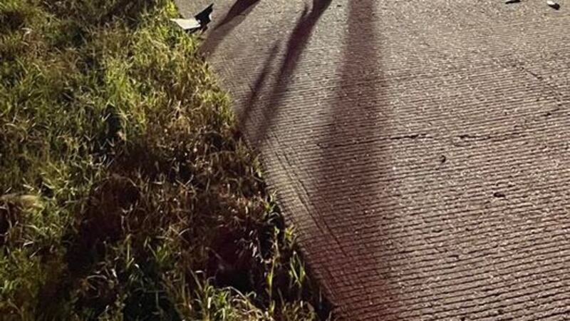 Nueve vacas murieron después de que dos vehículos chocaran con varios de los animales en el...