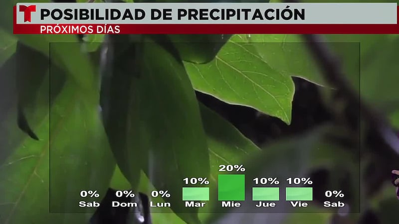 Pronóstico del tiempo.