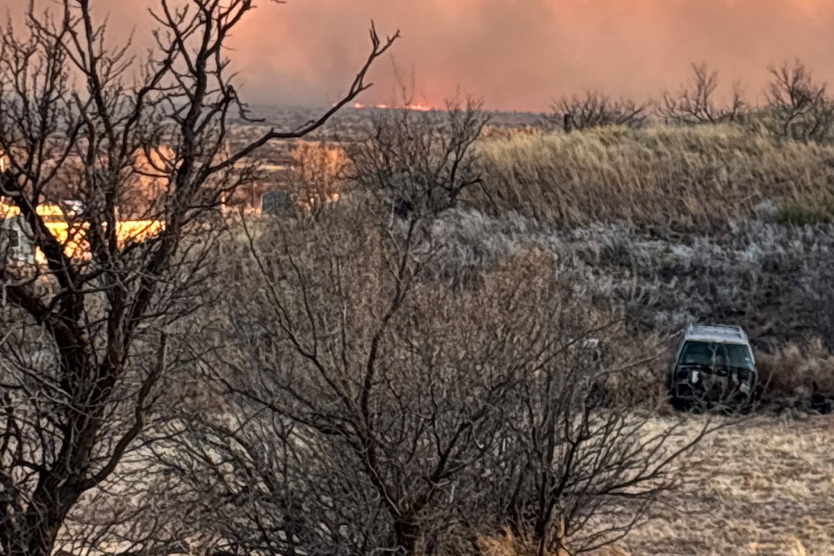 preloaded gallery image