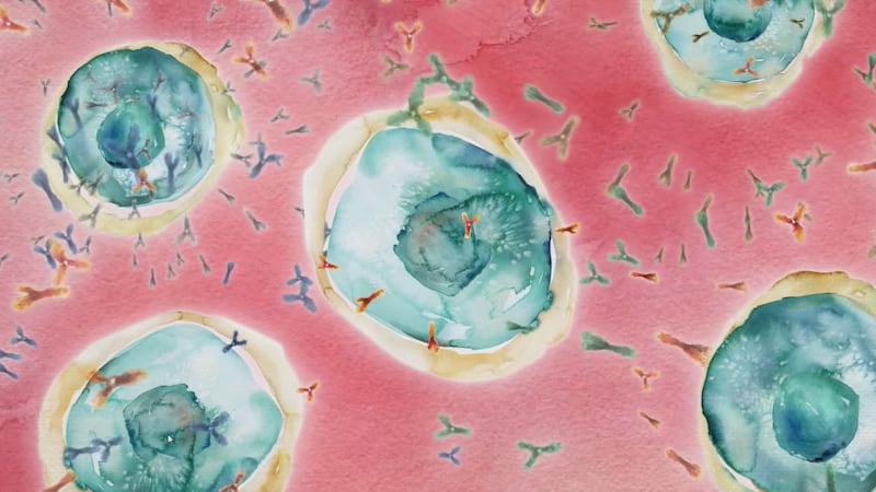 Muchos de los casos que se producen durante esta época pueden atribuirse al aumento de las...