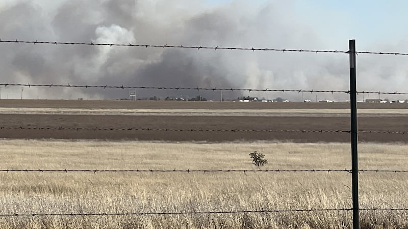 Se está investigando la causa del incendio.