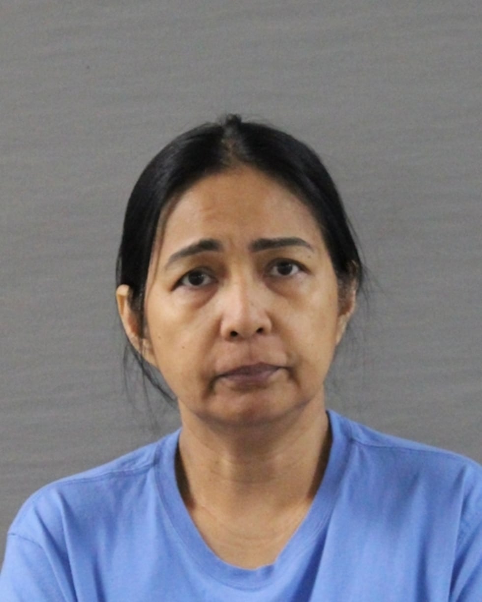 Mimi Hunyh, 55, faces federal charges after the FBI say they discovered her plan to kidnap and...
