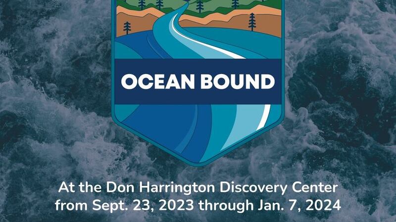 La inauguración al público es este sábado y dará comienzo a una temporada de exploración de...