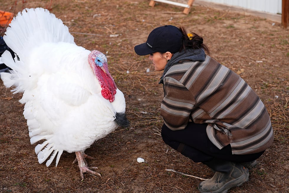 Kelly Nix, directora ejecutiva del Santuario para Animales Luvin Arms, junto a un pavo de...
