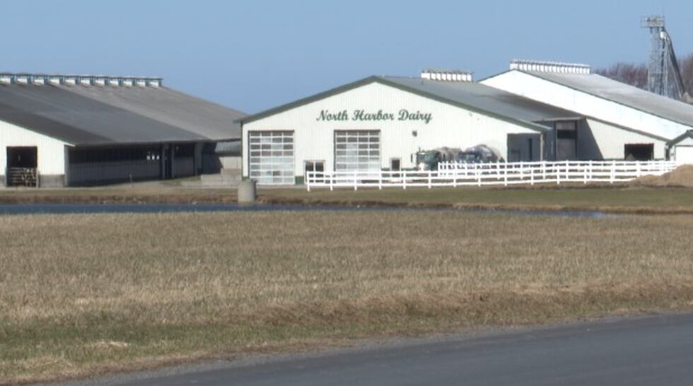 Vista de la granja lechera North Harbor, en el noroeste del estado de Nueva York