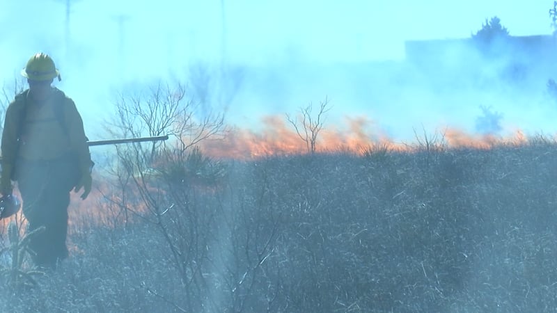 Varias agencias están respondiendo a varios incendios en el Panhandle de Texas.