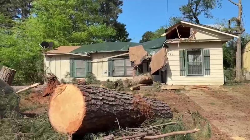 ‘Ground zero’: Texans on Mission group works to clear trees off Gilmer, Lone Star homes