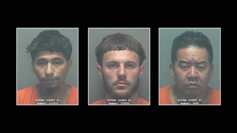 Durante el registro, las autoridades incautaron drogas y armas.