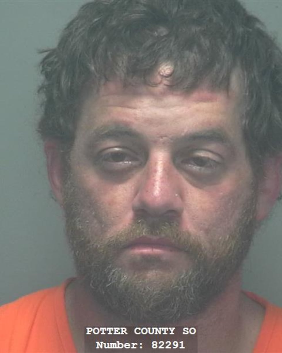 Brett Hudson was indicted for possession of a controlled substance by a Potter County grand jury