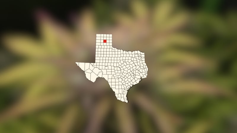 Marlin Johnson, de 71 años es acusado de posesión de marihuana, más de 2 onzas pero menos de 4...