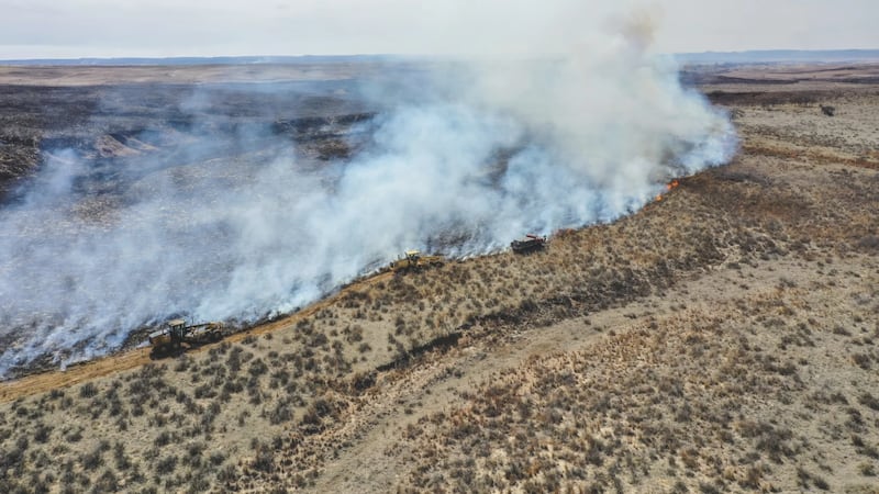 El incendio de Smokehouse Creek fue el incendio más grande en la historia de Texas. Provocó...