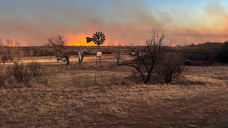 Hay recursos disponibles y agencias de la zona están solicitando donaciones, ya que los...