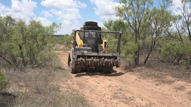 Wildcat Bluff agregando cortafuegos para reducir el riesgo de incendios forestales