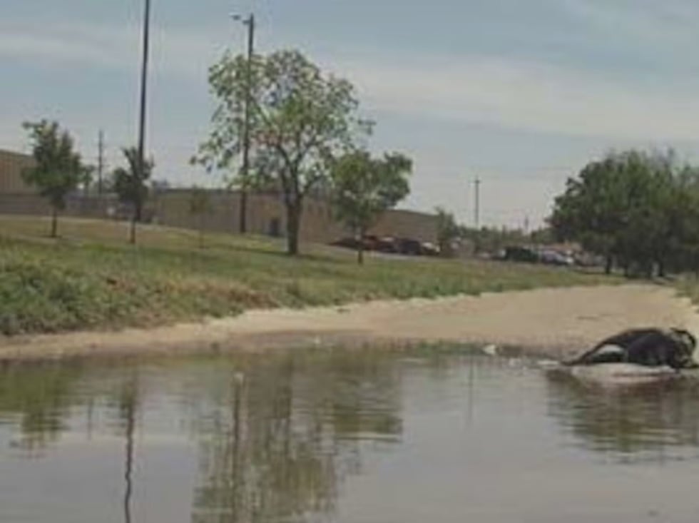 Amarillo police announced they have identified a suspect in the 1997 homicide of Gloria Ann...