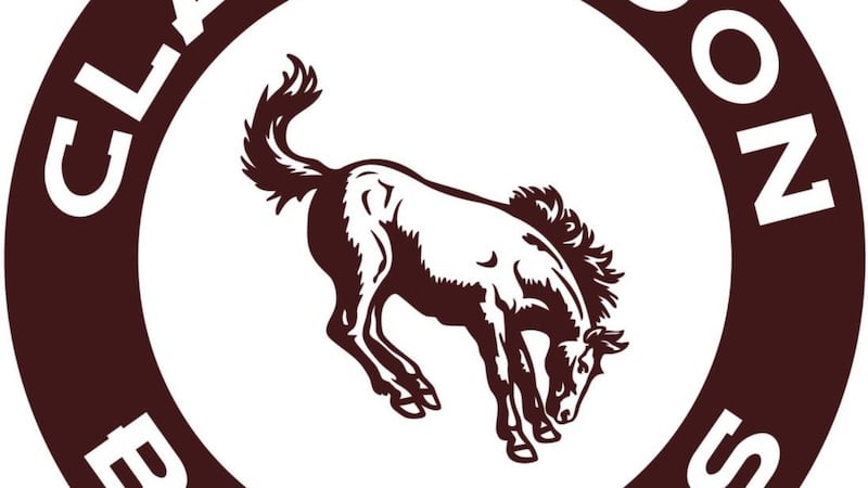 El Distrito afirma que están trabajando para controlar el problema de chinches.