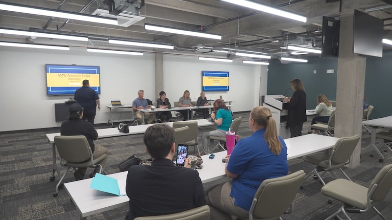 The Amarillo Animal Management and Welfare board met Wednesday to discuss potential ordinances...