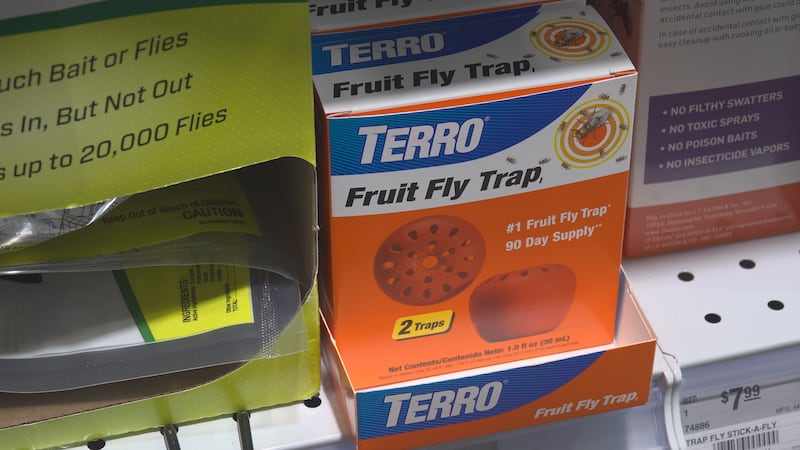 Las moscas de la fruta y los mosquitos están apareciendo en más hogares de toda la región del...