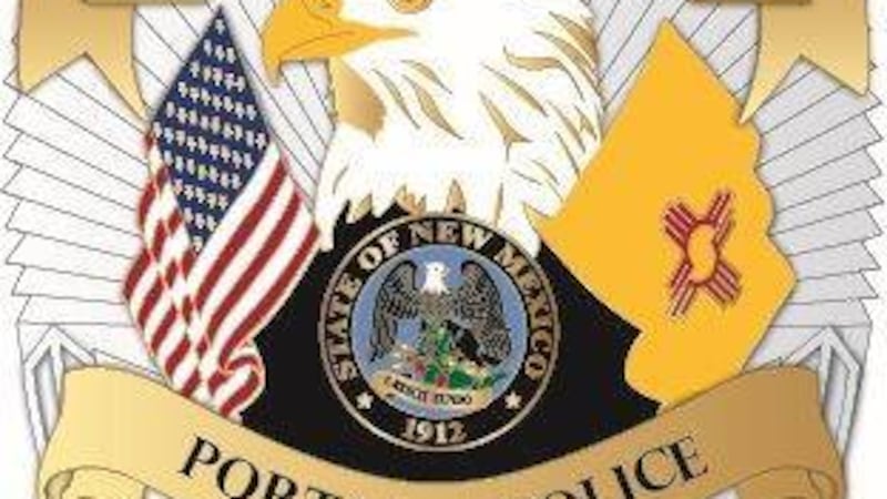 La policía afirma que Sebastián Torres Gonzales conducía en dirección sur por la calle Chicago...