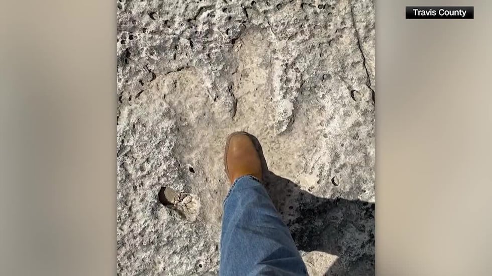 Floodwaters uncovered what experts say are ancient dinosaur tracks in Texas.