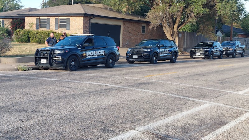Una niña fue atropellada por un automóvil mientras se dirigía a la escuela en bicicleta esta...