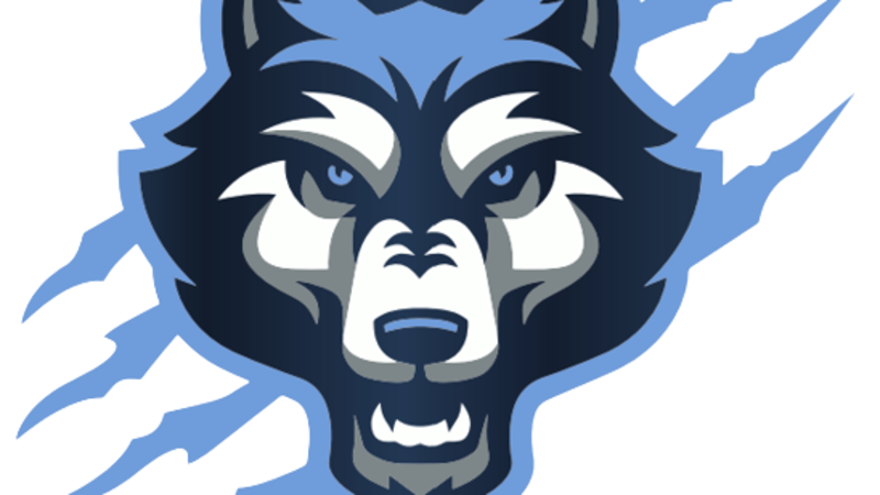 Dado que el caso involucra a menores, las autoridades del condado Randall han decidido no...