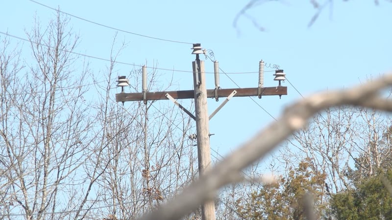 Entergy Arkansas, along with other electric cooperatives, said crews will be working to clear...