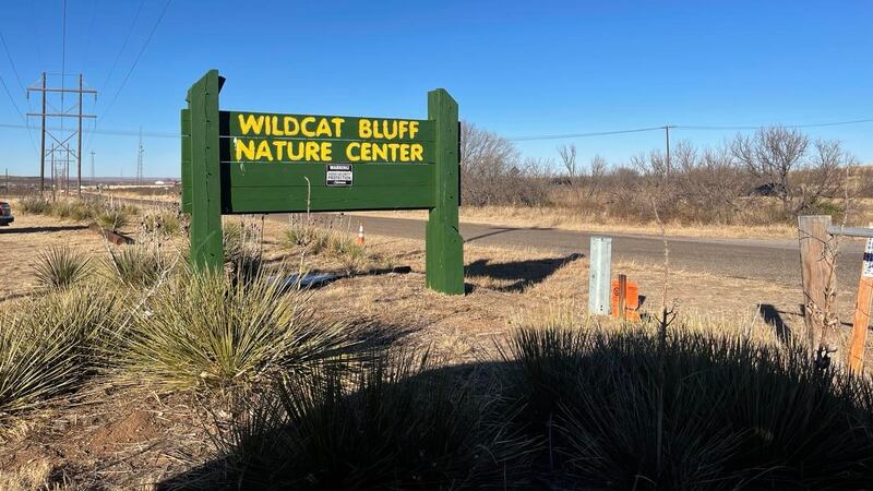 Leerán un libro sobre la naturaleza, harán una manualidad y pasearán por Libb’s Trail.