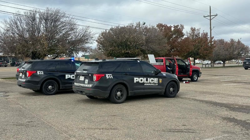 La policía afirma que encontraron varias armas en el auto, parafernalia para el consumo de...