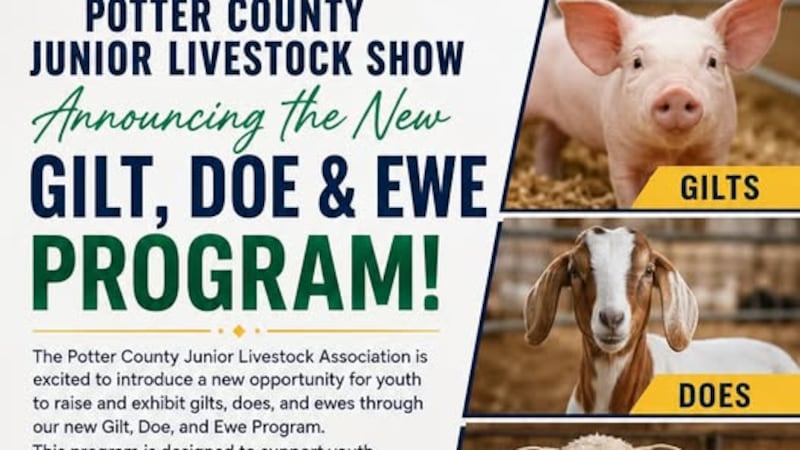 The Potter County Junior Livestock Show has announced a new gilt, doe and ewe program....