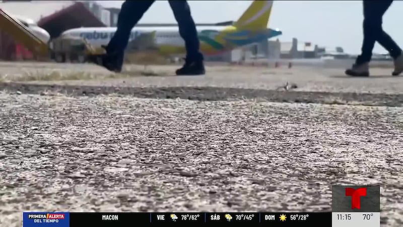 Refugiados con temor a ser deportados