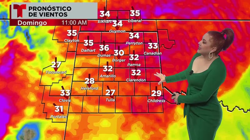 Se espera un frente frío con vientos agresivos y desplome de temperaturas.