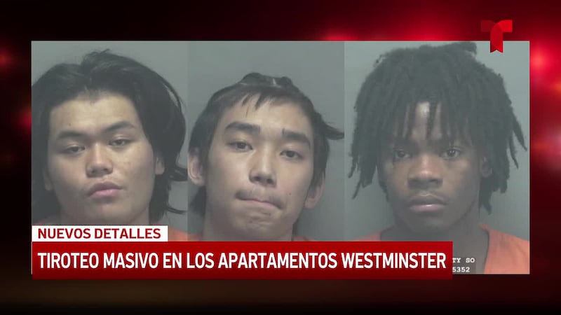 Nuevos detalles sobre el tiroteo masivo en los apartamentos Westminster