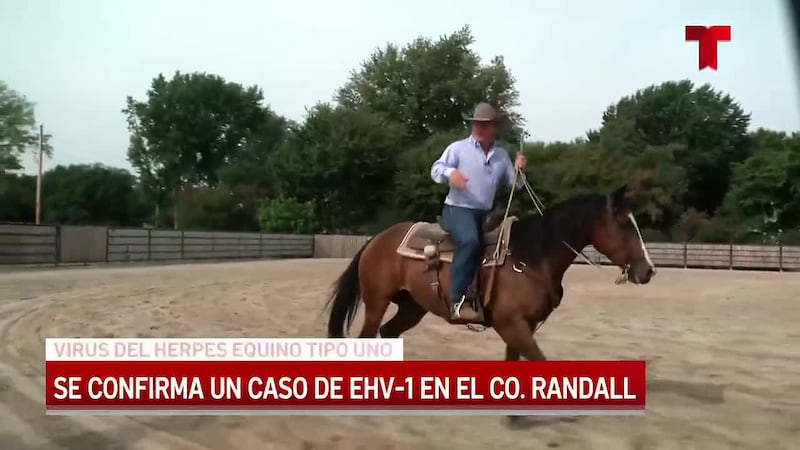 Autoridades confirman un caso del virus del herpes equino tipo 1 en el condado Randall