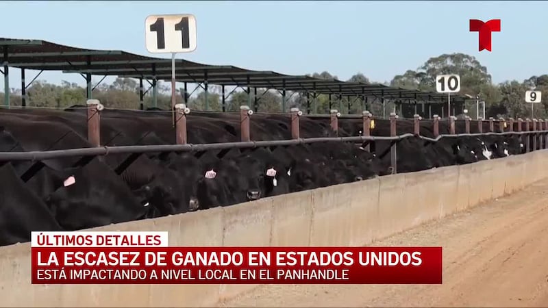 Expertos en ganado analizan el impacto de la eliminación del segundo turno en Tyson